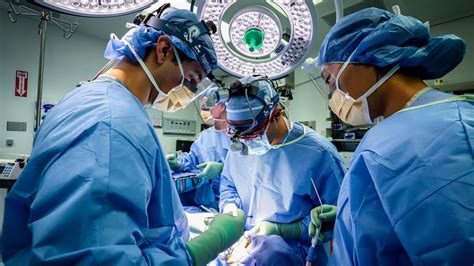 Oral Surgeon .